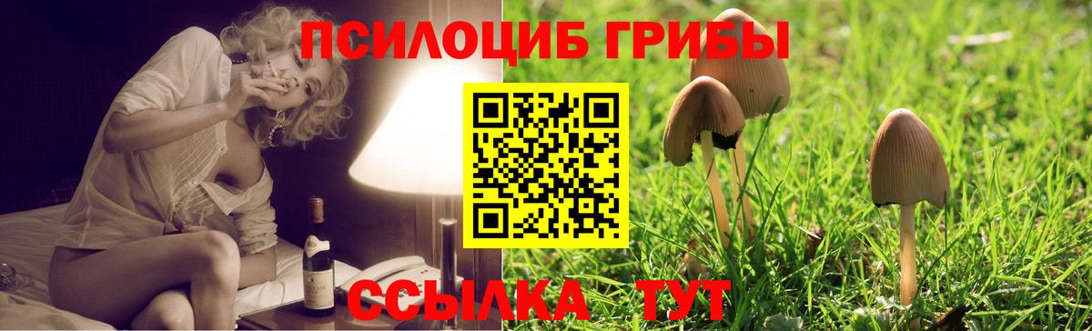 сколько стоит  Псилоцибиновые грибы мицелий  Всеволожск  Вход с VPN  Псилоцибиновые грибы Cubensis 